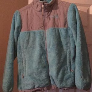 The north face jacket